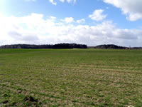 Blick auf's Feld