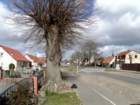 an der B96